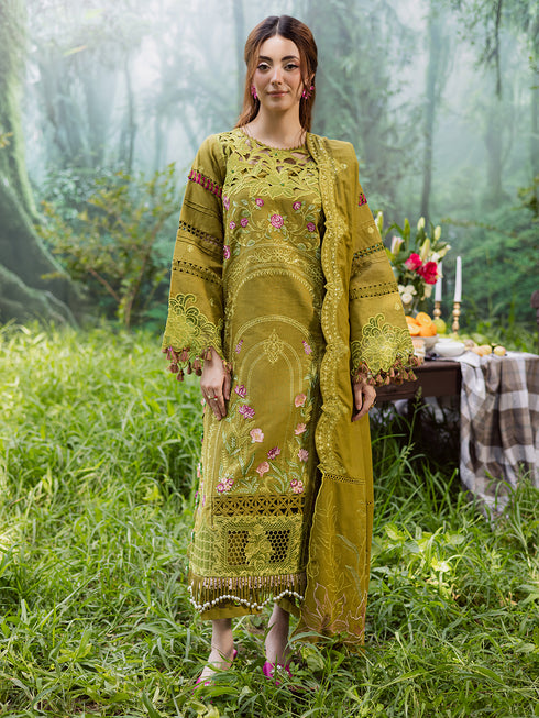 WW - 05 | 3 PC Khaddar